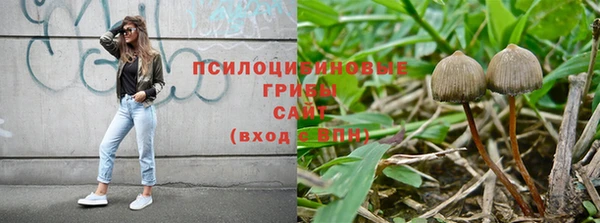 хмурый Абинск